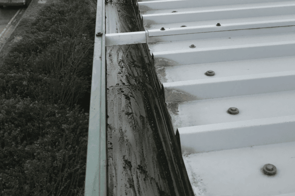 Commercial gutter cleaning specialists in Guildford